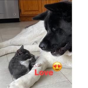 Meet your Posher, Karinne